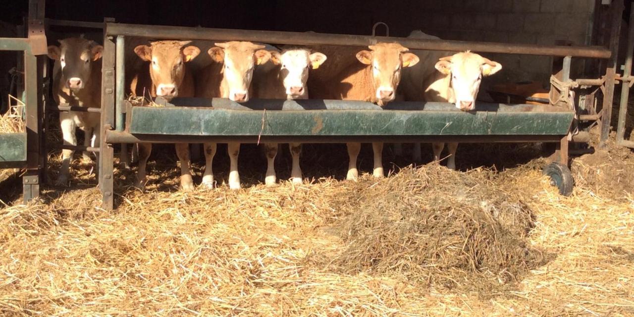 Aux Bois Dores De La Ferme De Sorval, Animaux De La Ferme, Fitness Selvigny Екстериор снимка